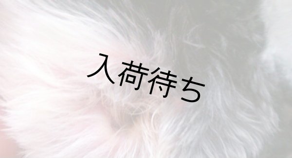 画像3: 耳毛切りハサミ 【入荷未定】 (3)