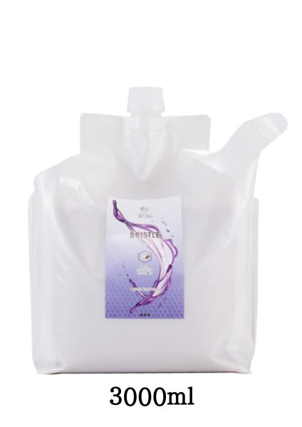 画像5: プロフェム ブリスルリンス* (5)