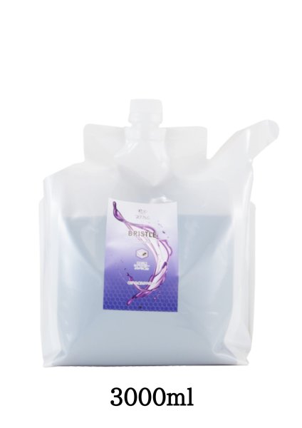 画像5: プロフェム ブリスルシャンプー* (5)