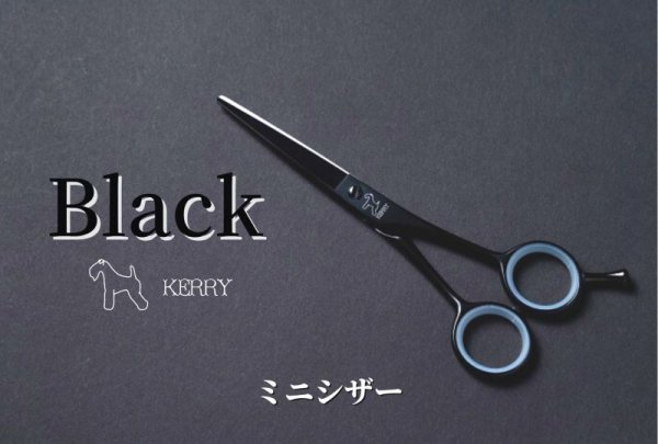 画像1: ブラックケリー　BTP-55S（予約受付中　入荷未定） (1)