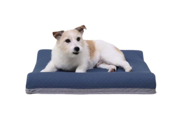 画像2: Wonddy Super Cool Bed Mサイズ (2)