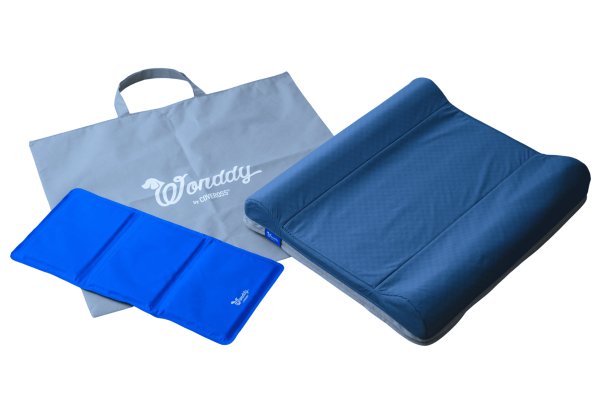 画像1: Wonddy Super Cool Bed Mサイズ (1)