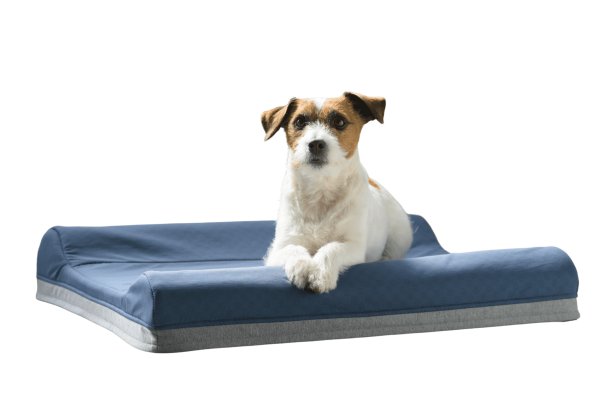 画像3: Wonddy Super Cool Bed Mサイズ (3)