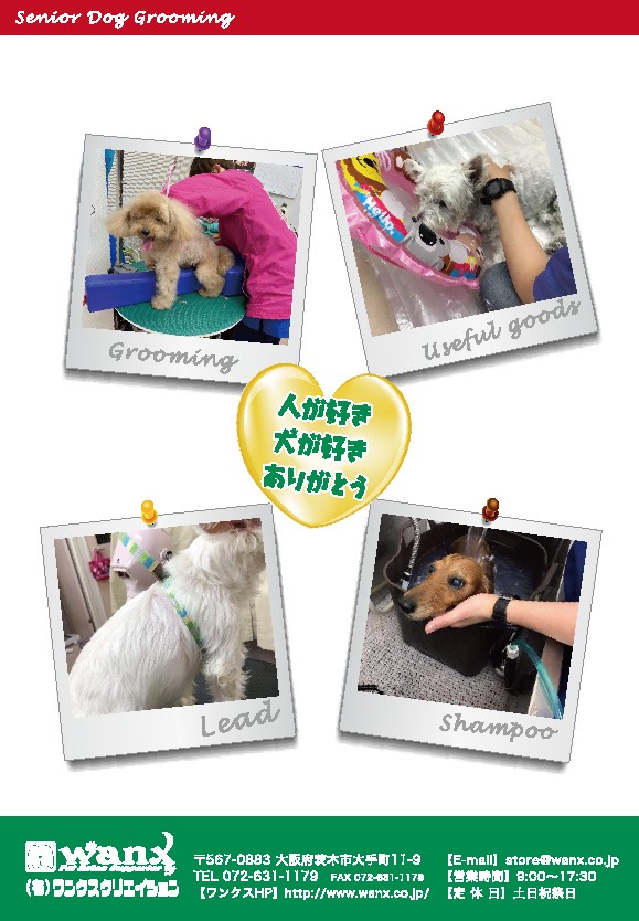 無理をしない させない命を守る シニア犬のグルーミングパンフレット 通常郵便もしくはヤマトメール便発送 ワンクスオンラインショップ