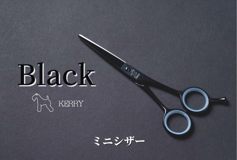 ブラックケリー　BTP-55S（予約受付中　入荷未定）